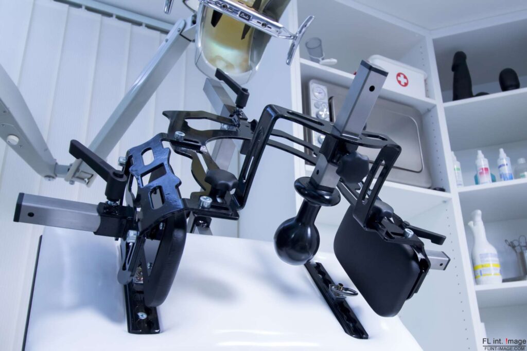 Dominastudio CASA CASAL, Klinik